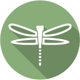 Ohio Exterminating Icon